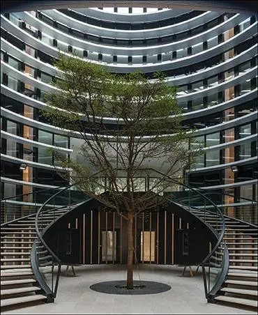 L’atrium amène la lumière au cœur du bâtiment et, par ses ouvertures en partie haute, participe à sa ventilation naturelle.