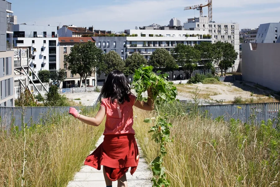 Jardiner et courir sur le toit de l’école... à Boulogne-Billancourt, France. Chartier Dalix Architectes.