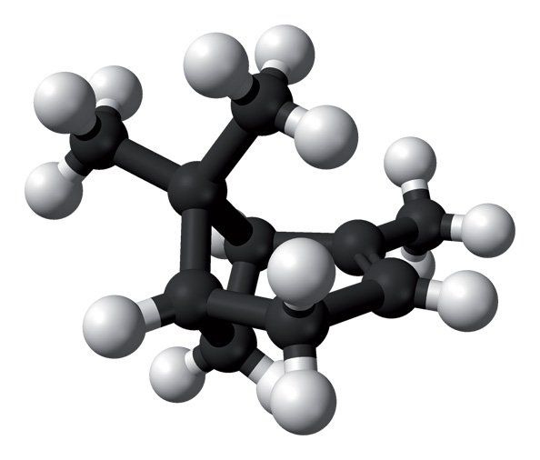 5-alpha-pinene-3D-balls.jpg 