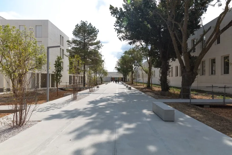 Les arbres remarquables du site ont été conservés, ils accompagnent le « quai- promenade ».