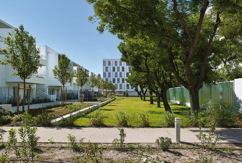 Le cœur d’îlot est remarquable par la conservation des arbres majestueux existants : platanes et alignements d’acacias.