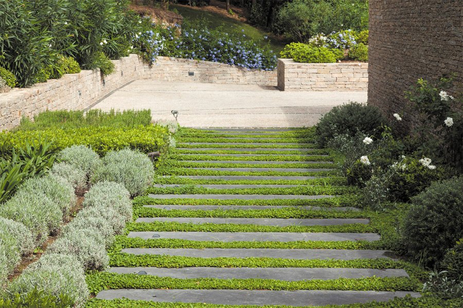 Originalité : un escalier végétalisé aux marches allongées menant à la résidenc