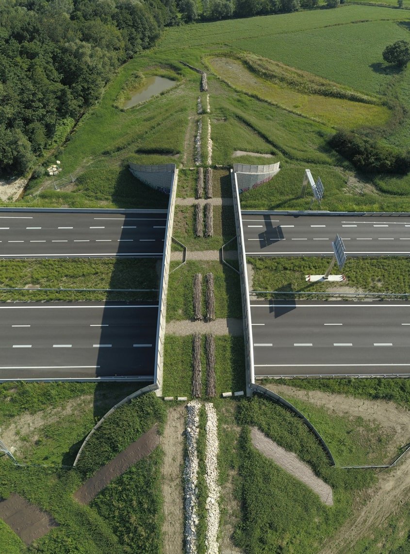 Vue aérienne du passage à faune de Moirans, sur l’A48.