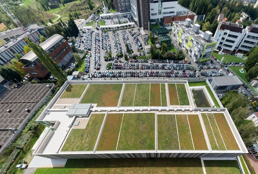 La toiture- terrasse, végétalisée en damier, et qui reprend les coloris des bétons de façades.