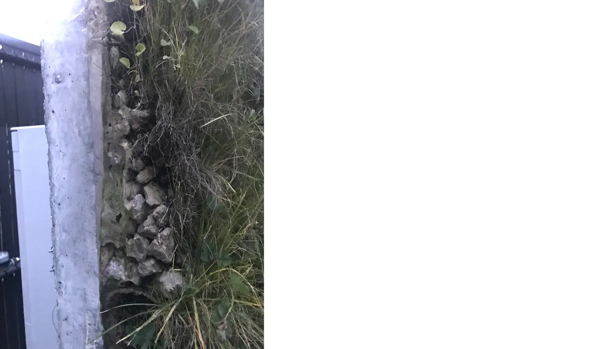 Mur végétal avec béton drainant en façade comme support. ©Maloudebo