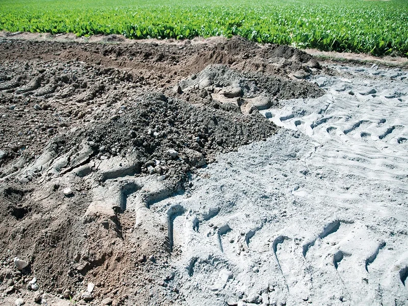 Résultat à l’issue du malaxage : le liant clair a été finement mélangé avec le matériau de l’ancienne chaussée.