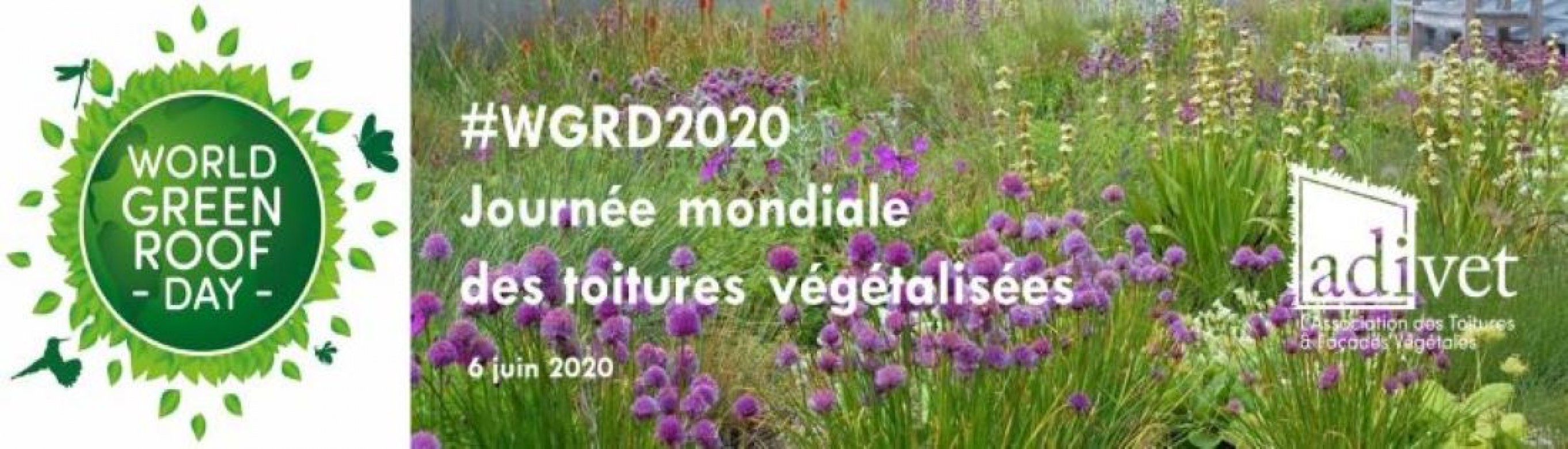 World Green Roof Day 2020 et ADIVET
